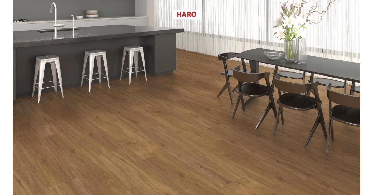 Haro Disano Project LA 4VM Bergeiche Strukturiert – Bild 2