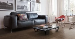 Haro Disano Classic Aqua XL Französische Räuchereiche 4V