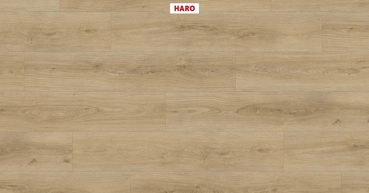 Haro Disano Life Aqua Eiche Sheffield Puro – Bild 2