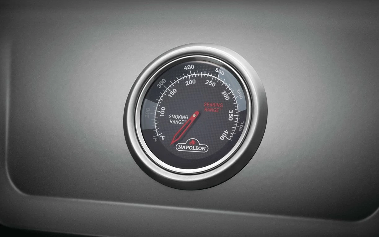Napoleon Gasgrill Freestyle 365 Mit Seitenbrenner Graphitgrau – Bild 5