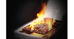 Napoleon Gasgrill Rogue SE 425 Schwarz Inkl. Drehspieß