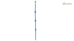 Traumgarten Winnetoo Knotenseil 200 Cm