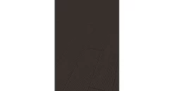 BPC XXL Terrassendiele 25 X 250mm + 400 Cm Lang Hohlkammerprofil Ebony